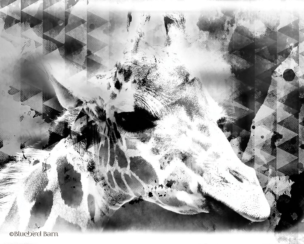 Art Print: Modern Black And White Giraffe