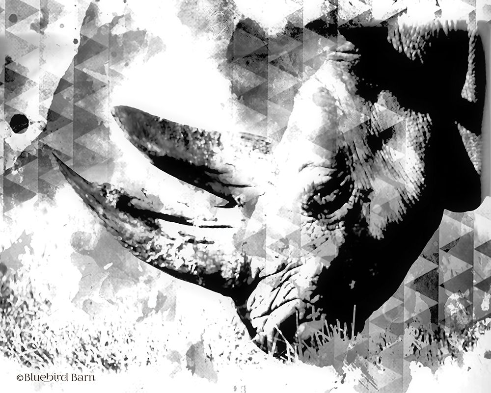 Art Print: Modern Black And White Rhino