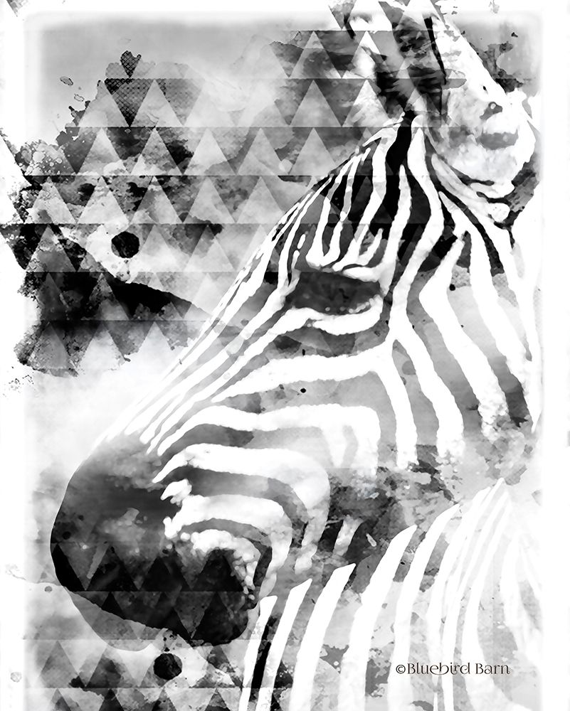 Art Print: Modern Black And White Zebra