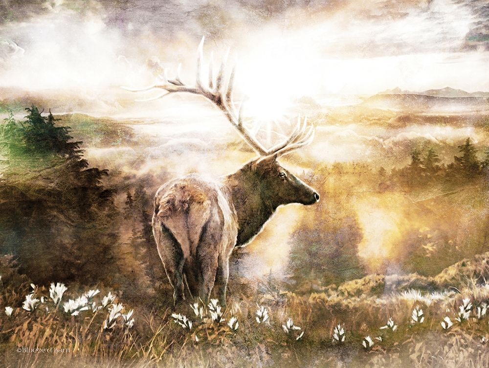 Art Print: Heading Home