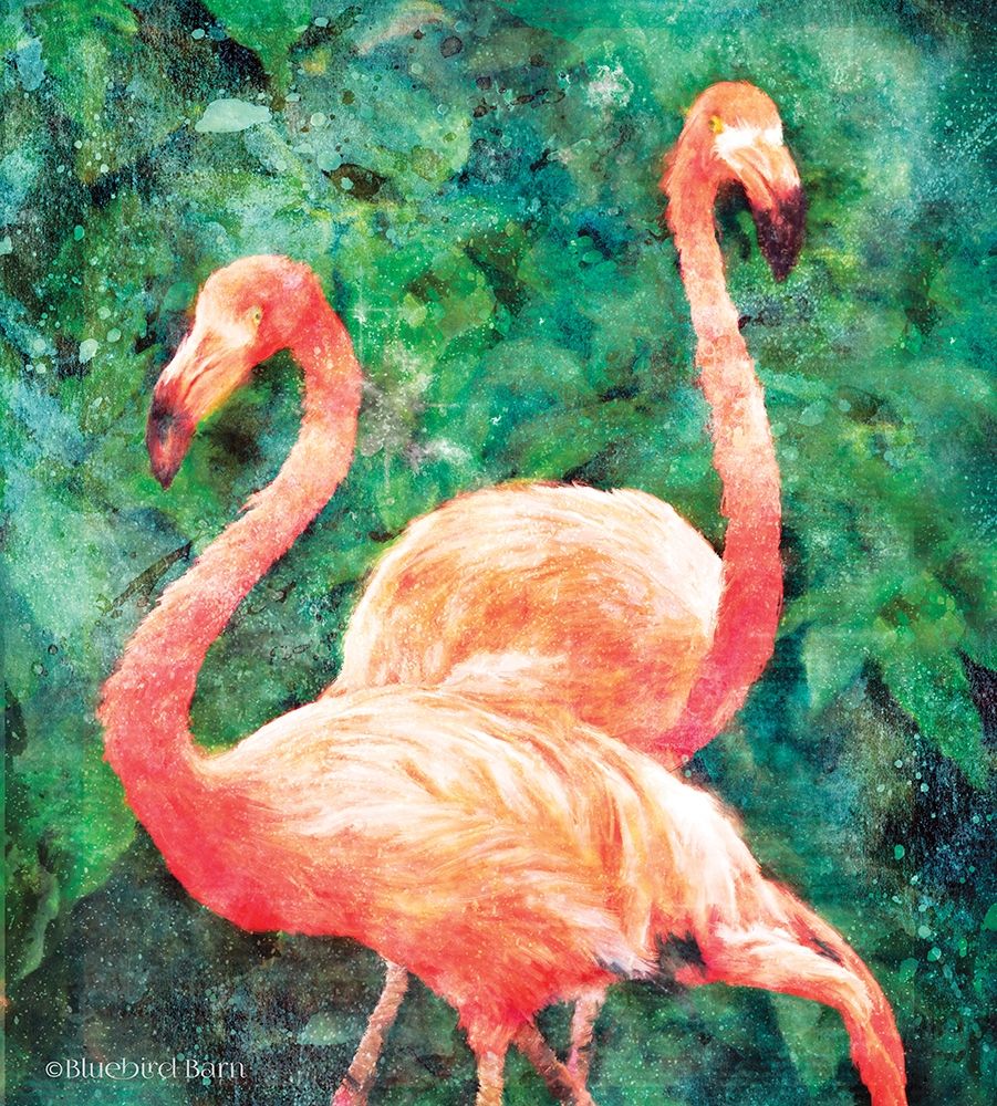 Art Print: Flamingos    