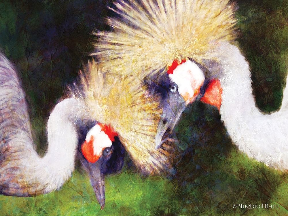 Art Print: Two Cranes   