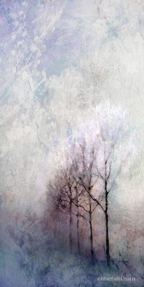 Art Print: First Light Winter Forest