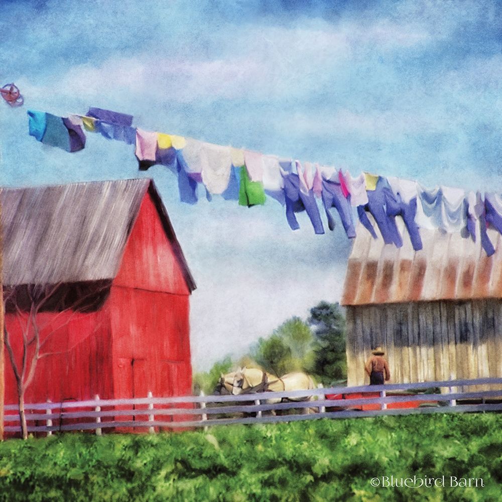 Art Print: Clothesline Farm