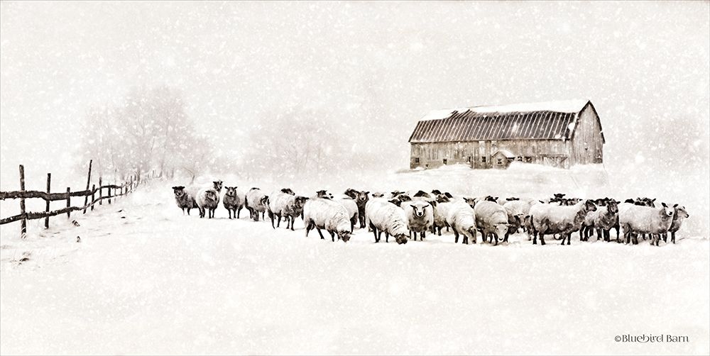 Art Print: Warm Winter Barn with Sheep Herd