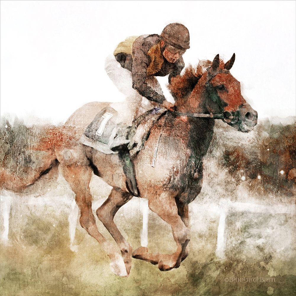 Wall Art Painting id:283146, Name: Number One Rider  , Artist: Bluebird Barn