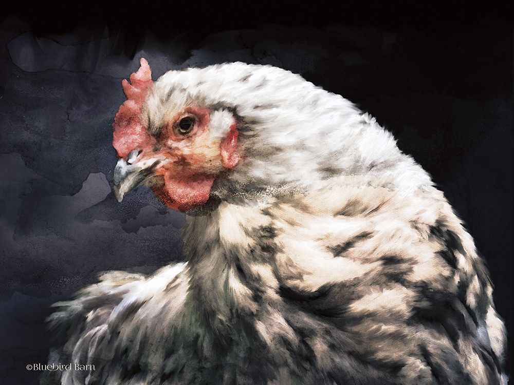 Art Print: Rooster Portrait
