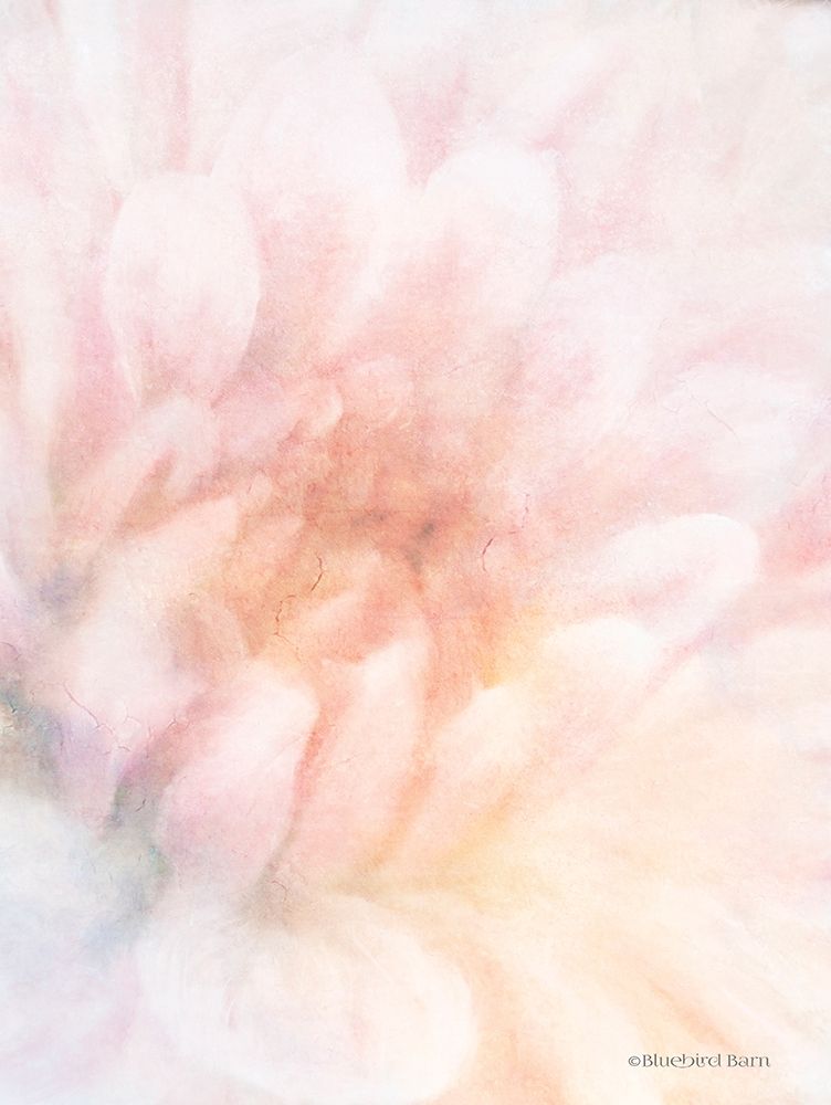 Wall Art Painting id:255585, Name: Soft Dahlia Pastel Peach, Artist: Bluebird Barn
