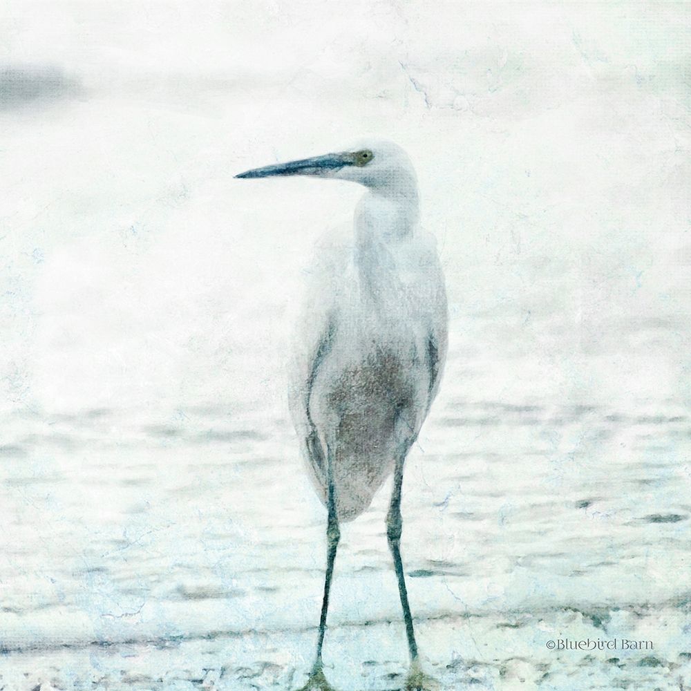 Art Print: Beach Heron