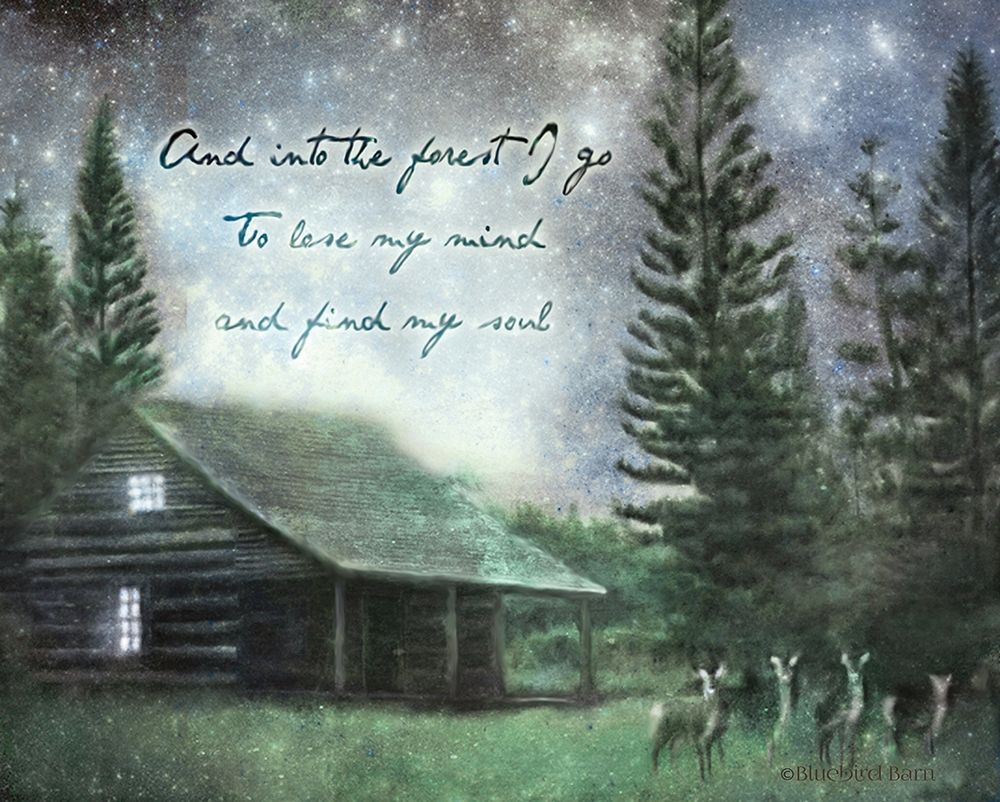 Wall Art Painting id:284226, Name: Into the Forest I Go, Artist: Bluebird Barn