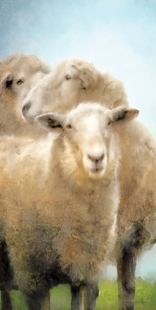 Wall Art Painting id:300755, Name: Three Sheep Portrait, Artist: Bluebird Barn