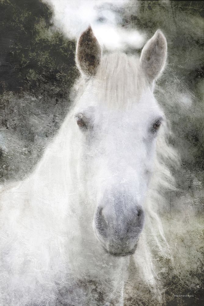 Wall art: White Horse Mystique   , by Bluebird Barn 
