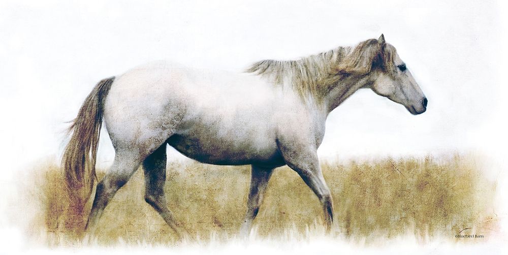 Art Print: White Horse   