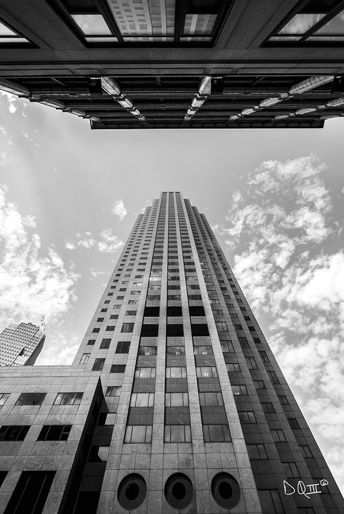 Art Print: Looking Up