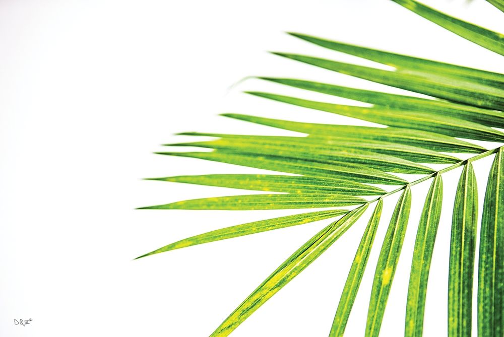 Art Print: Leaf Study III