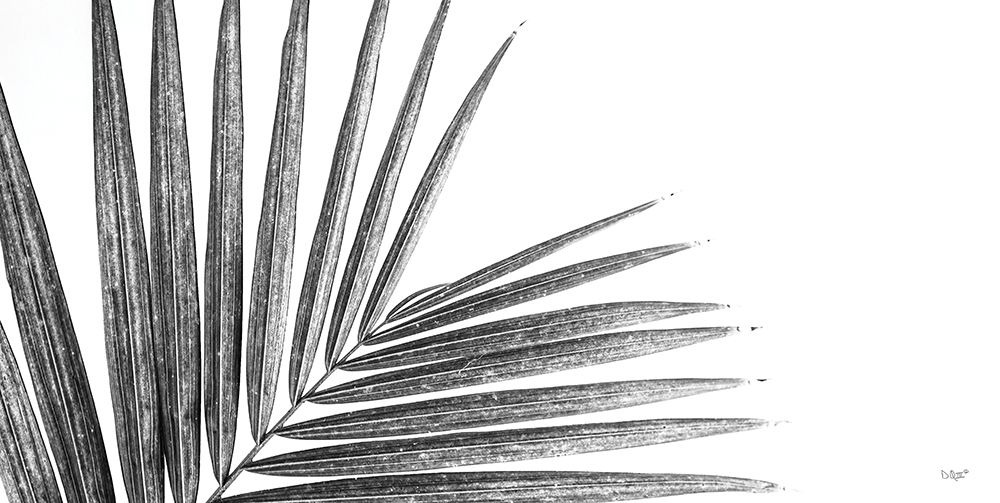 Art Print: Leaf Study IV