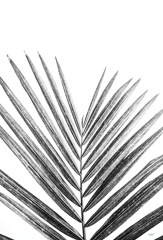 Art Print: Leaf Study V