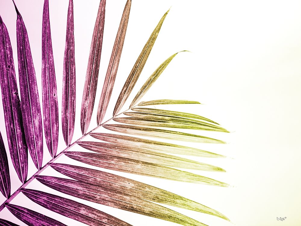 Art Print: Rainbow Leaf