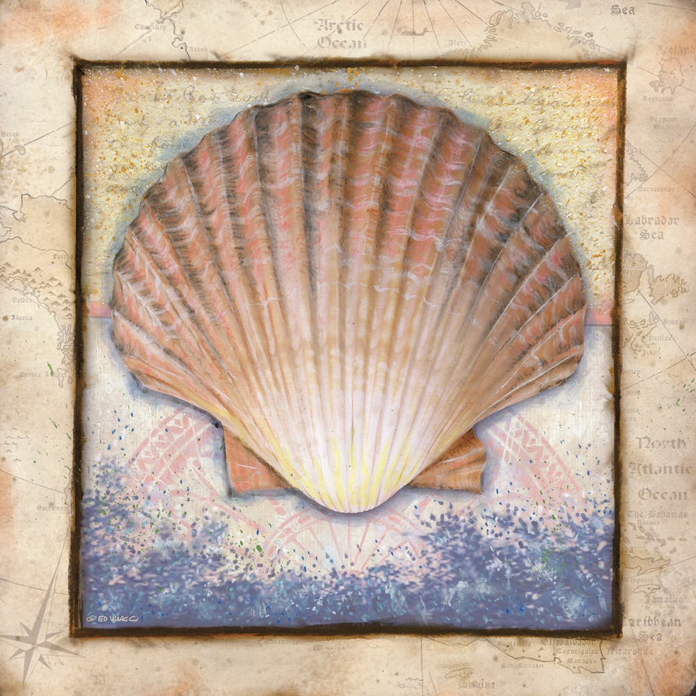 Wall Art Painting id:99811, Name: Shell, Artist: Wargo, Ed