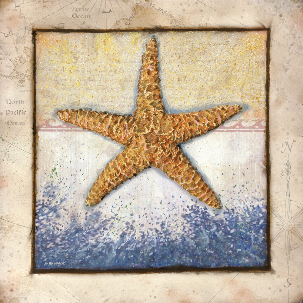 Wall Art Painting id:99812, Name: Starfish, Artist: Wargo, Ed
