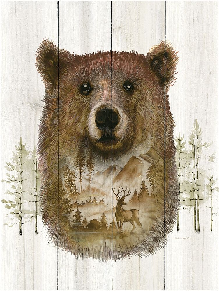Wall Art Painting id:201262, Name: Bear Wilderness Portrait, Artist: Wargo, Ed