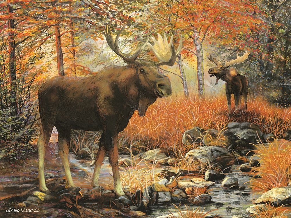 Wall Art Painting id:262552, Name: Call of the Wild, Artist: Wargo, Ed