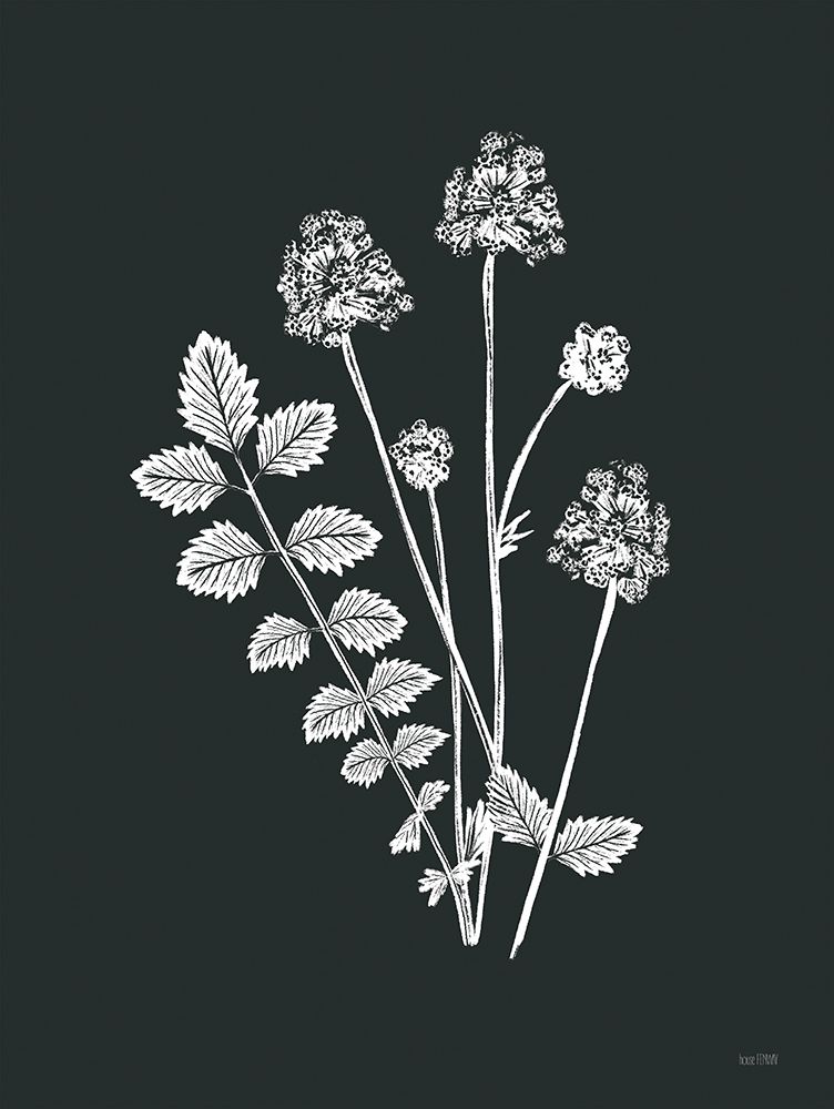 Art Print: Wildflower Sunprint I