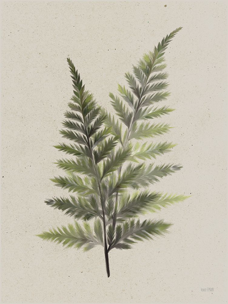 Art Print: Soft Fern