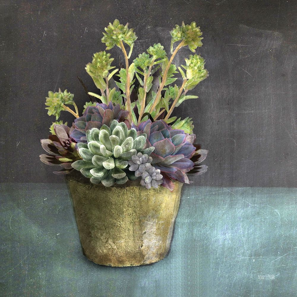 Art Print: Succulents
