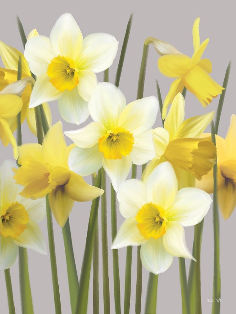 Art Print: Spring Daffodils
