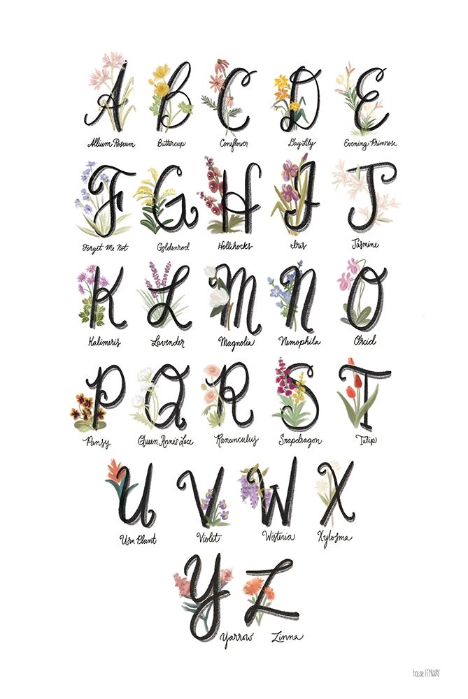 Art Print: Flower Alphabet in White