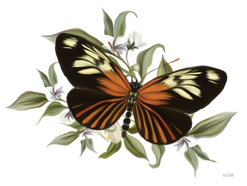 Art Print: Botanical Butterfly Heliconius   