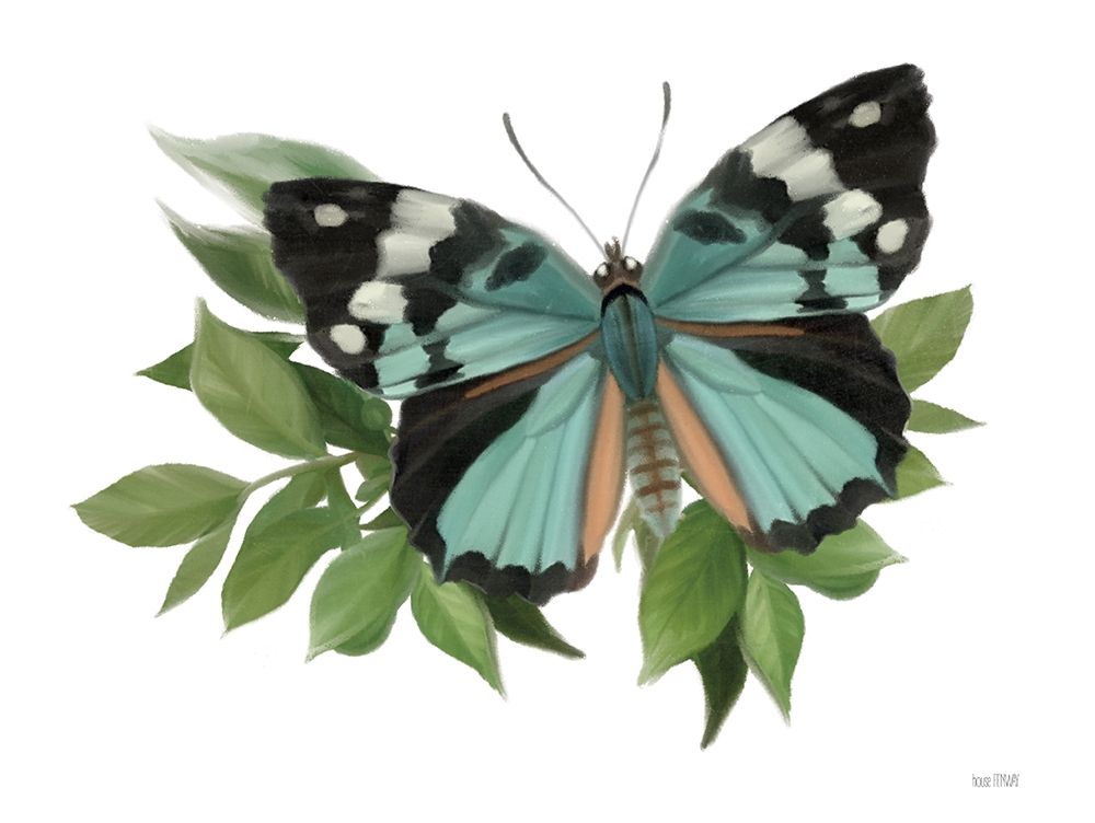 Art Print: Botanical Butterfly Common Gem 