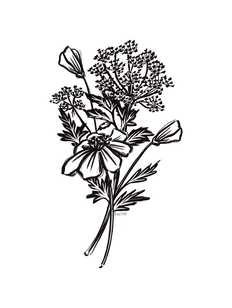 Art Print: Wildflower Sketch I