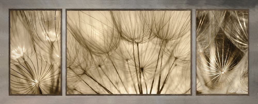 Art Print: Goatsbeard Trio