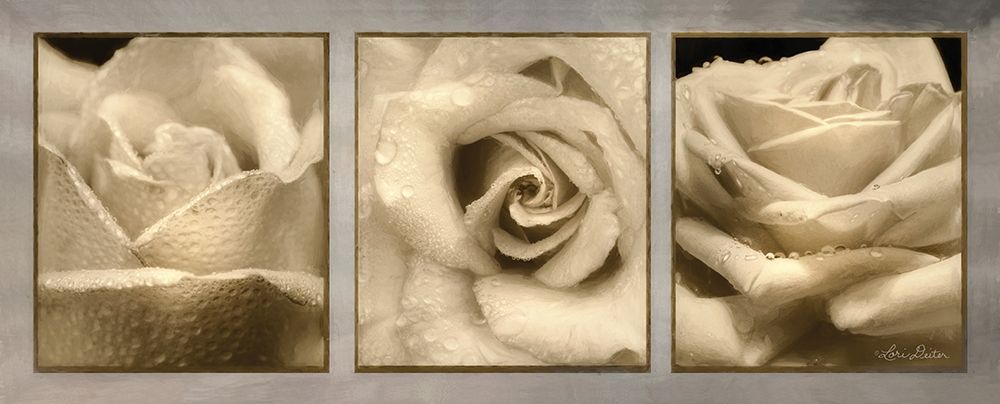 Art Print: Rose Trio