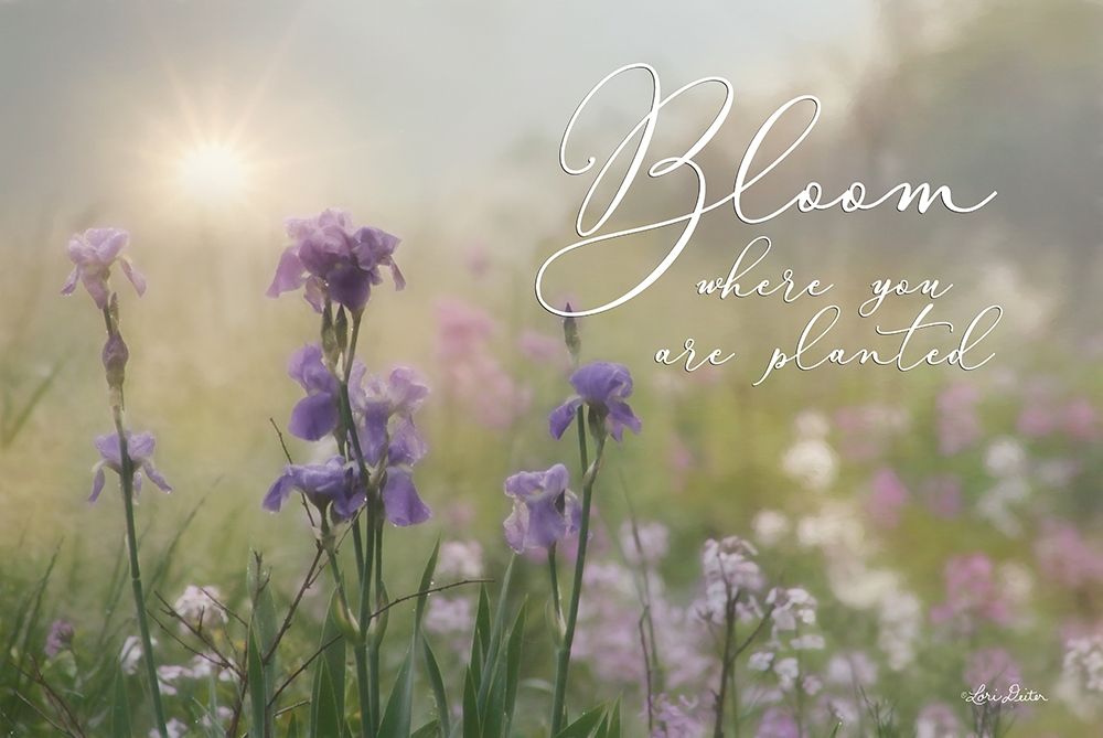 Art Print: Bloom Where You are Planted