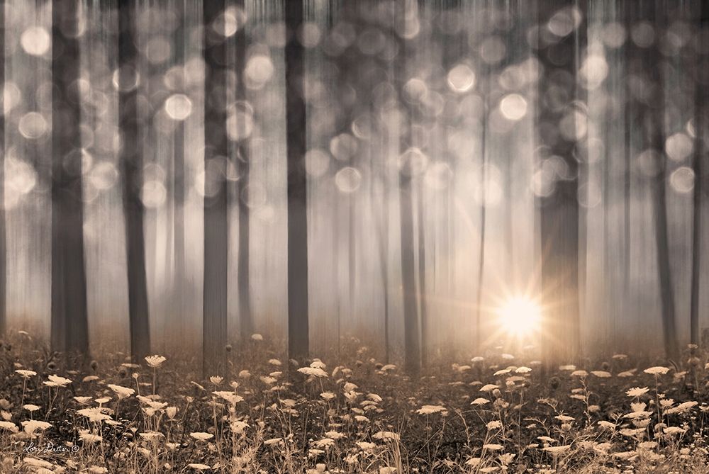 Art Print: Enchanted Morning