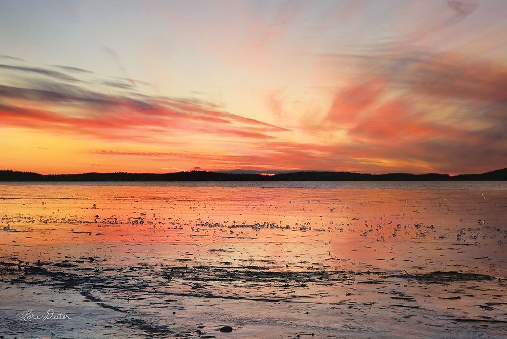 Wall Art Painting id:282207, Name: Fire and Ice, Artist: Deiter, Lori