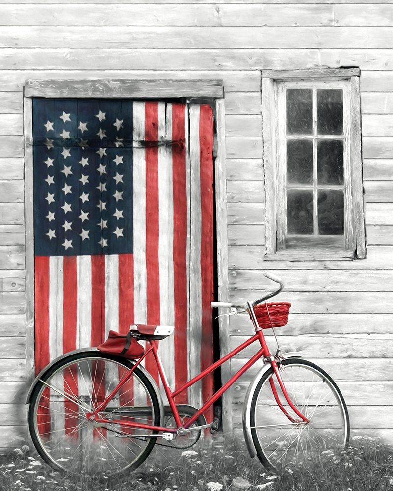 Wall Art Painting id:352949, Name: Patriotic Bicycle, Artist: Deiter, Lori