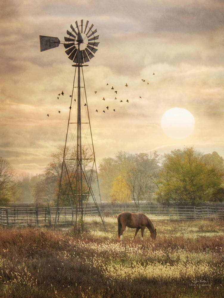 Wall Art Painting id:99664, Name: Berks Co. Sunrise, Artist: Deiter, Lori