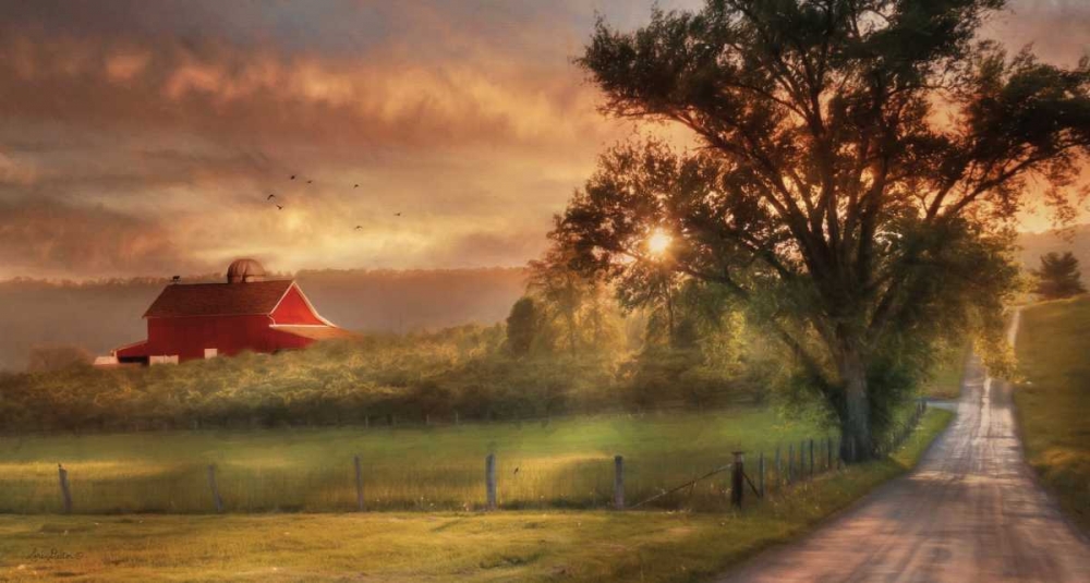Wall Art Painting id:97208, Name: Country Lane Sunset, Artist: Deiter, Lori