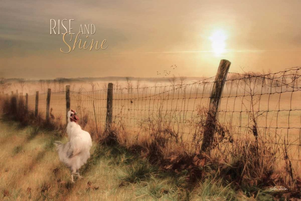 Wall Art Painting id:124589, Name: Rise and Shine, Artist: Deiter, Lori