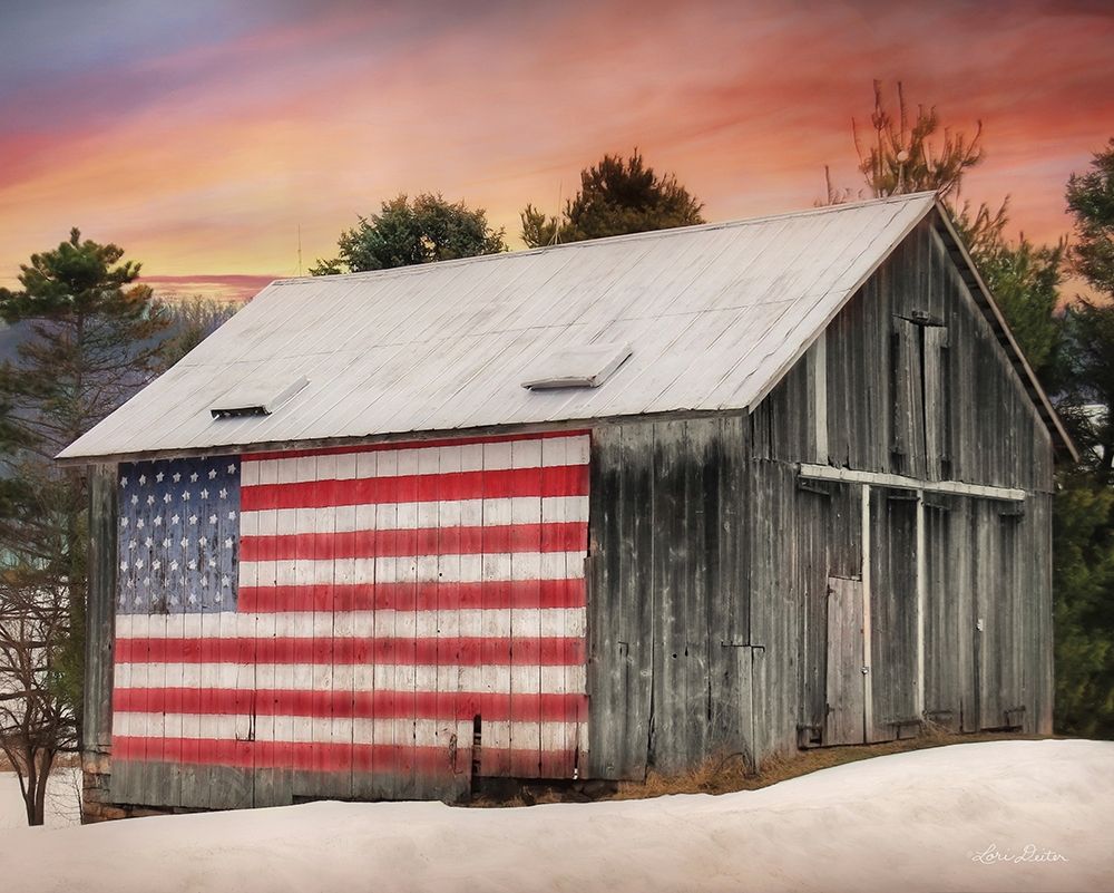 Wall Art Painting id:198170, Name: Flag Barn, Artist: Deiter, Lori