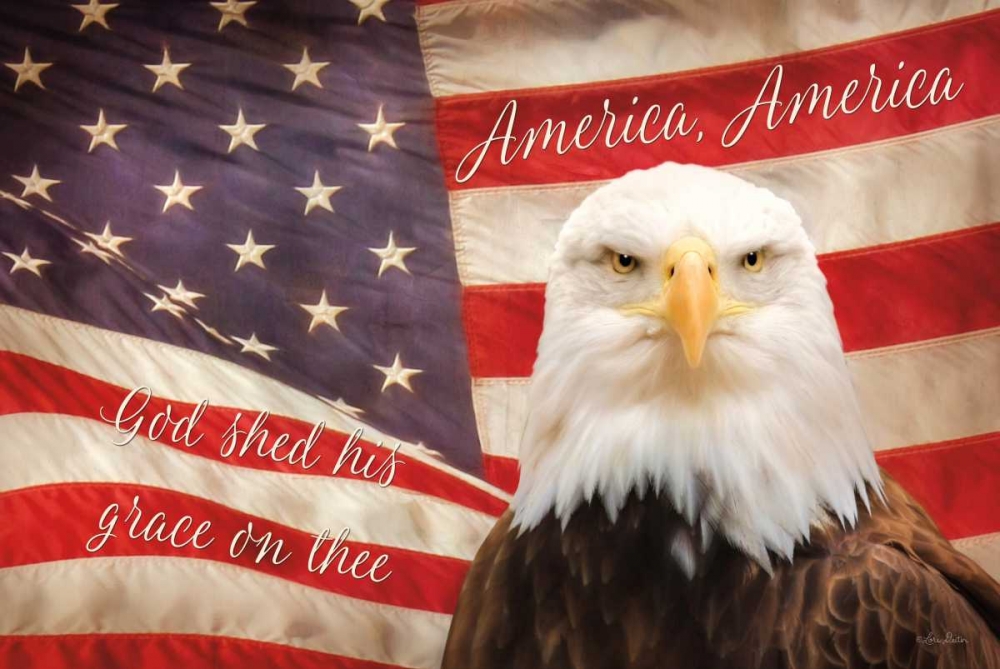Wall Art Painting id:124594, Name: American Eagle Flag, Artist: Deiter, Lori