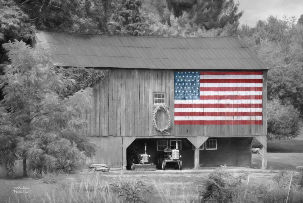 Wall Art Painting id:142844, Name: Patriotic Farm I, Artist: Deiter, Lori