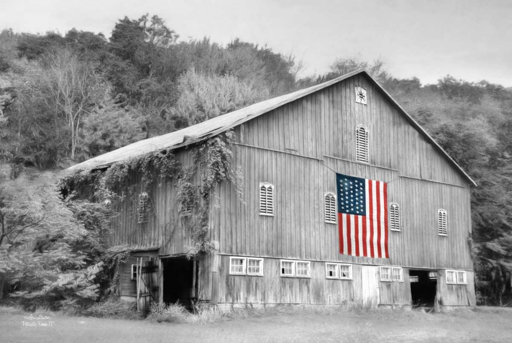 Wall Art Painting id:142845, Name: Patriotic Farm II, Artist: Deiter, Lori