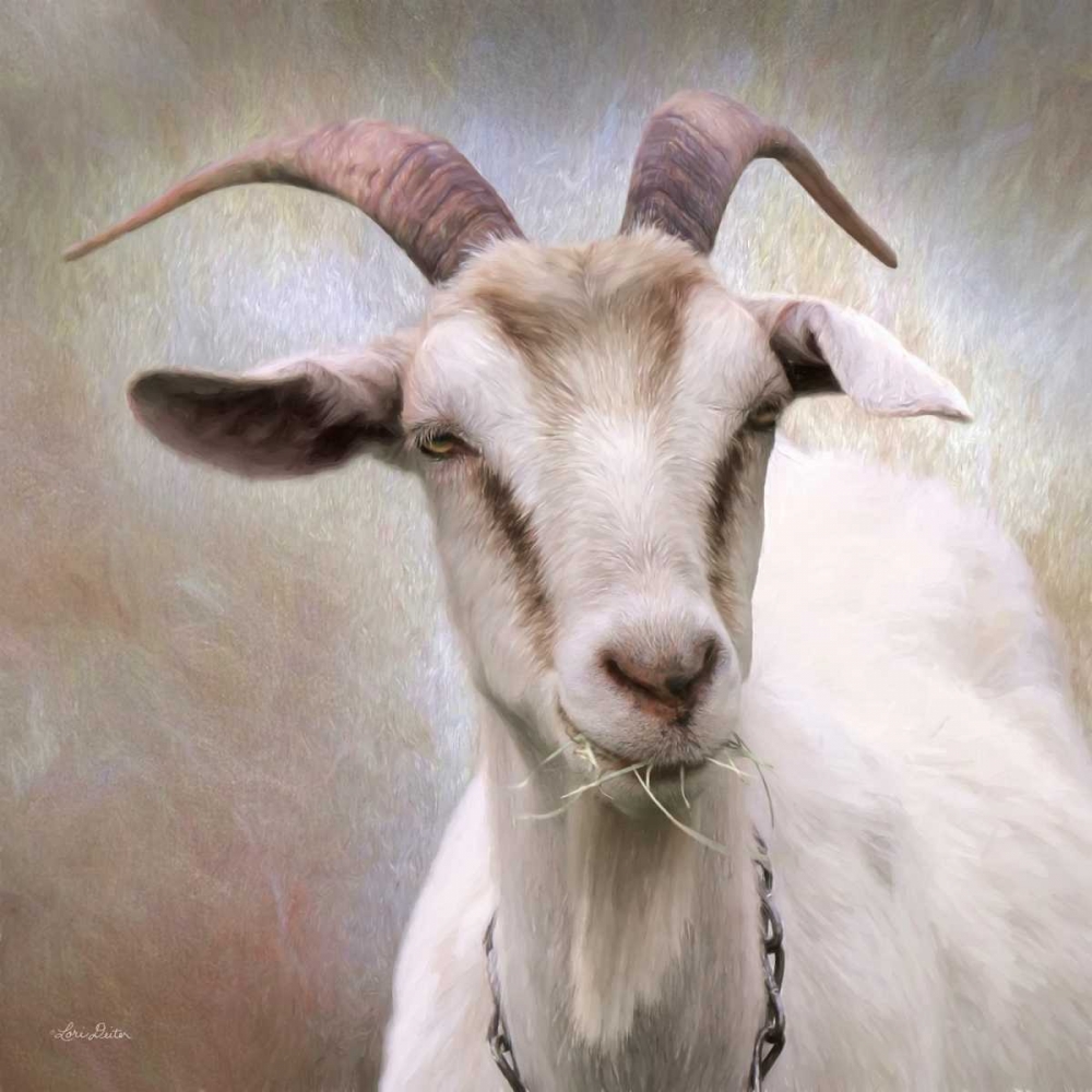 Wall Art Painting id:169779, Name: Up Close Goat, Artist: Deiter, Lori