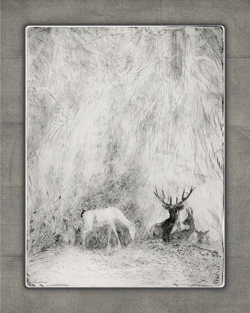 Wall Art Painting id:757094, Name: White Wonder, Artist: lettered And lined