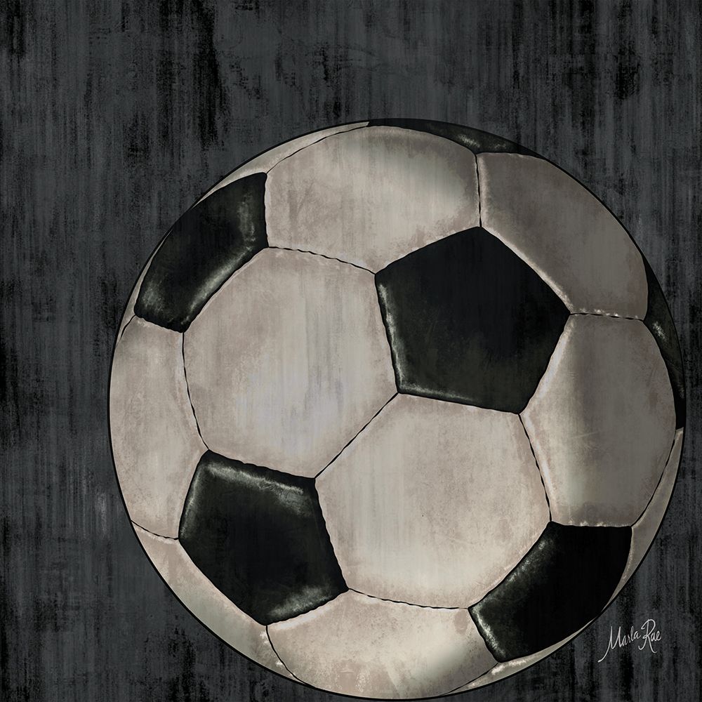 Wall Art Painting id:754203, Name: Soccer, Artist: Rae, Marla